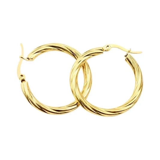 Gold Plated Titanium Steel Earrings